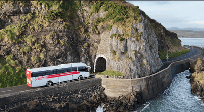 combo tours belfast